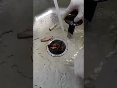 वैकल्पिक स्विच के साथ 2800r/मिनट 200*200*400 मिमी खाद्य अपशिष्ट डिस्पोजर